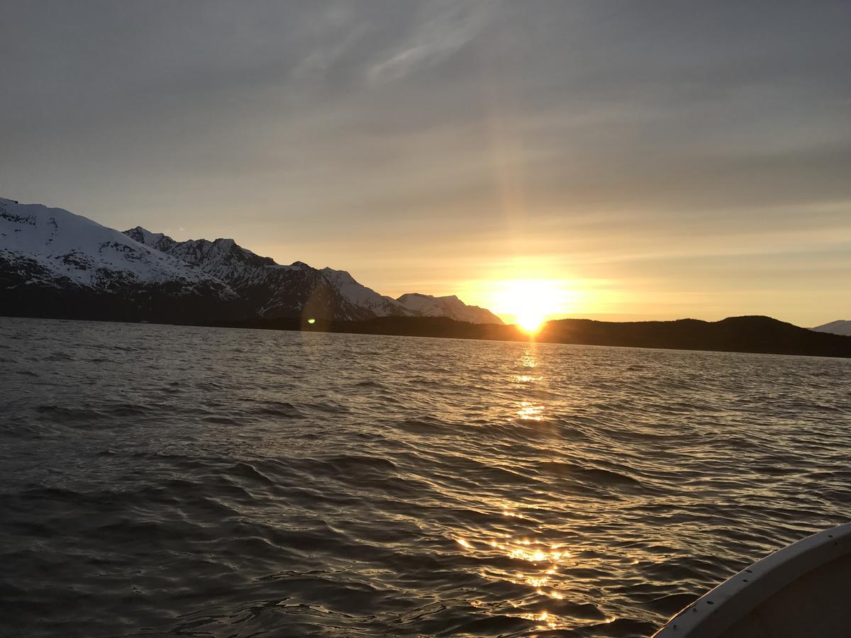 Kjelkebakken Gard Villa Lyngseidet Esterno foto