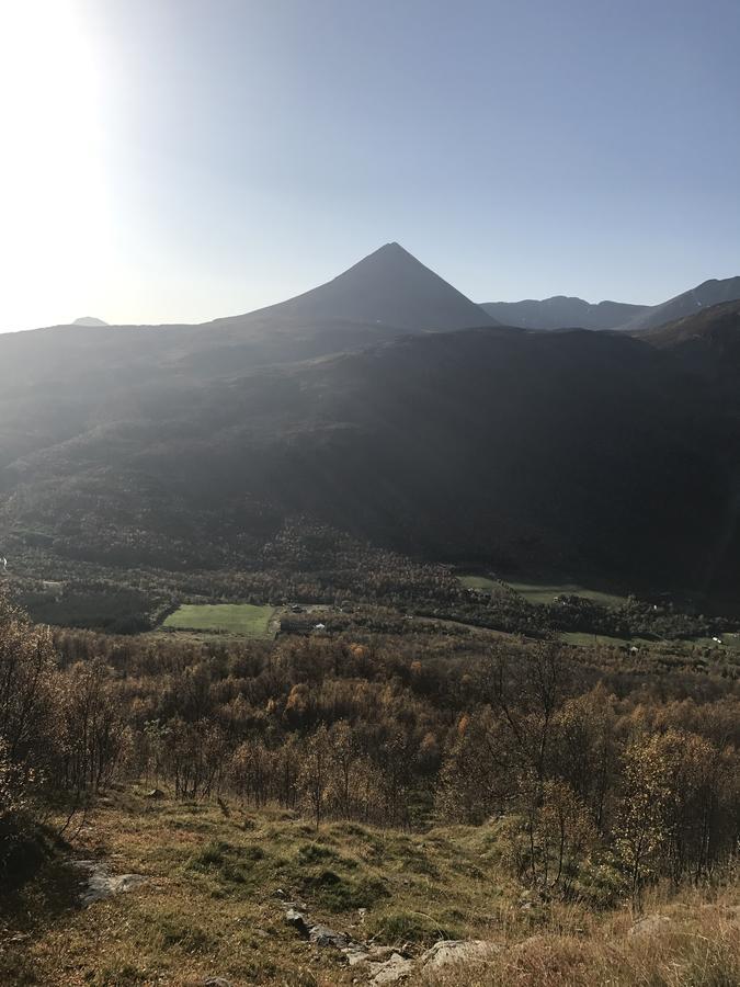 Kjelkebakken Gard Villa Lyngseidet Esterno foto